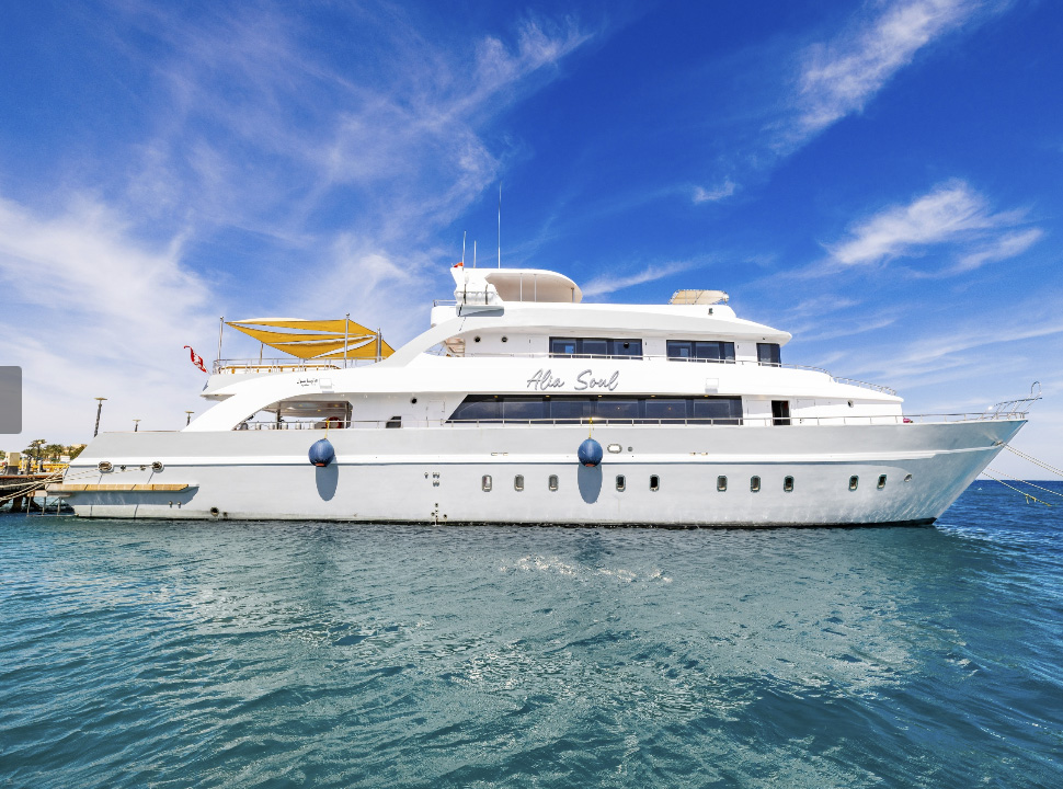 Alia Soul, das Safarischiff im Roten Meer von Orca-Diveclub